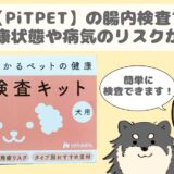 Pitpetアイキャッチ